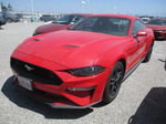 2020 Ford Mustang Ecoboost Красный vin: 1FA6P8TH4L5132259