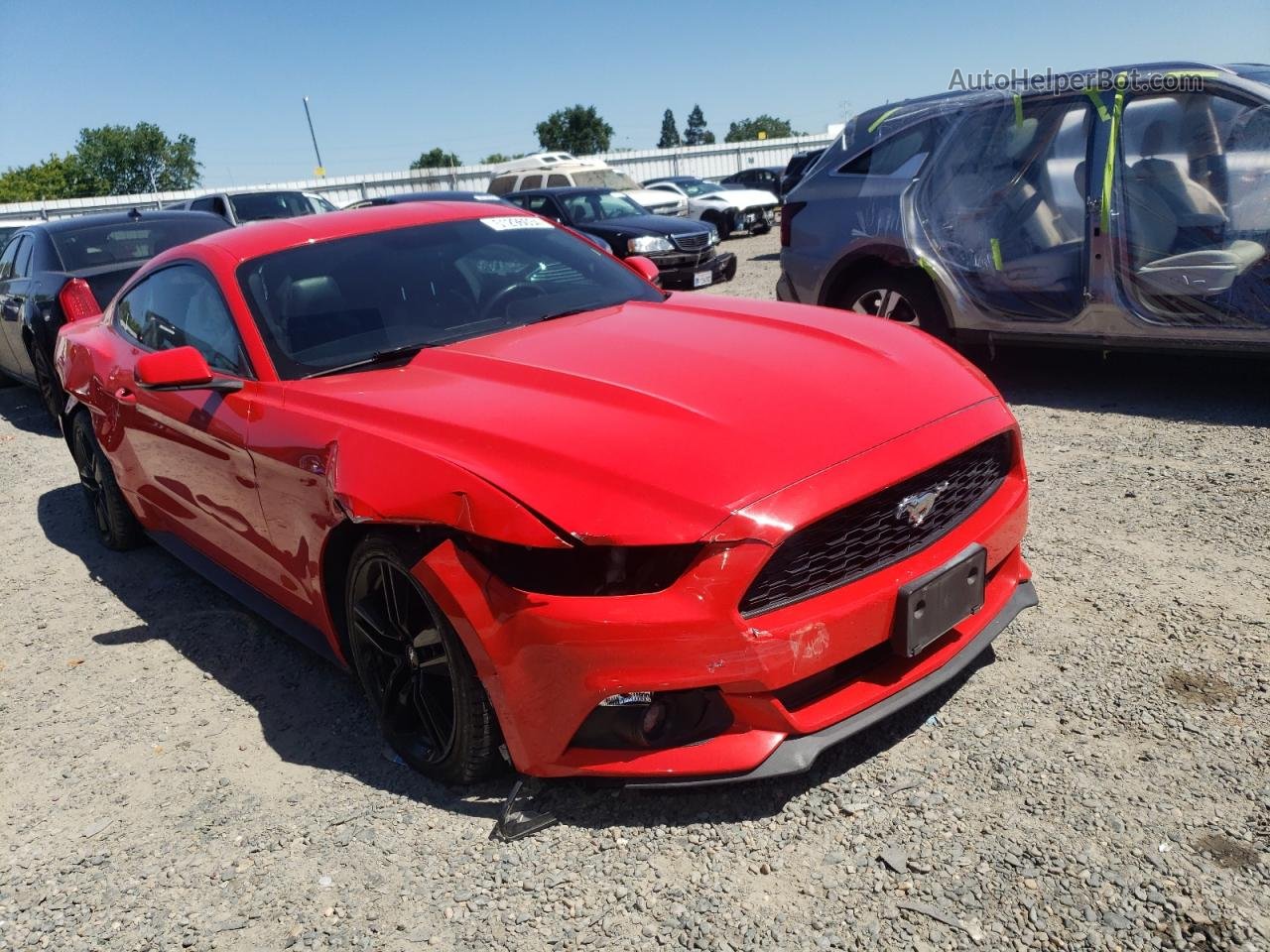 2015 Ford Mustang  Красный vin: 1FA6P8TH5F5311740