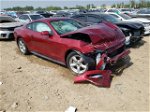 2019 Ford Mustang  Red vin: 1FA6P8TH5K5175362
