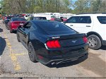 2020 Ford Mustang Ecoboost Fastback Black vin: 1FA6P8TH5L5122811