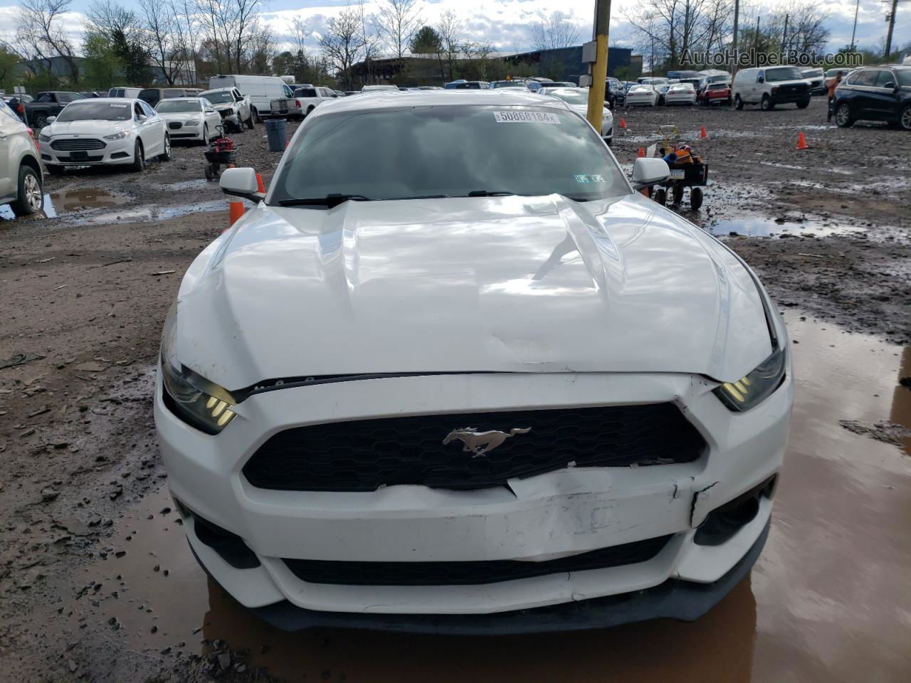 2015 Ford Mustang  White vin: 1FA6P8TH6F5303209