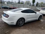 2015 Ford Mustang  Белый vin: 1FA6P8TH6F5303209