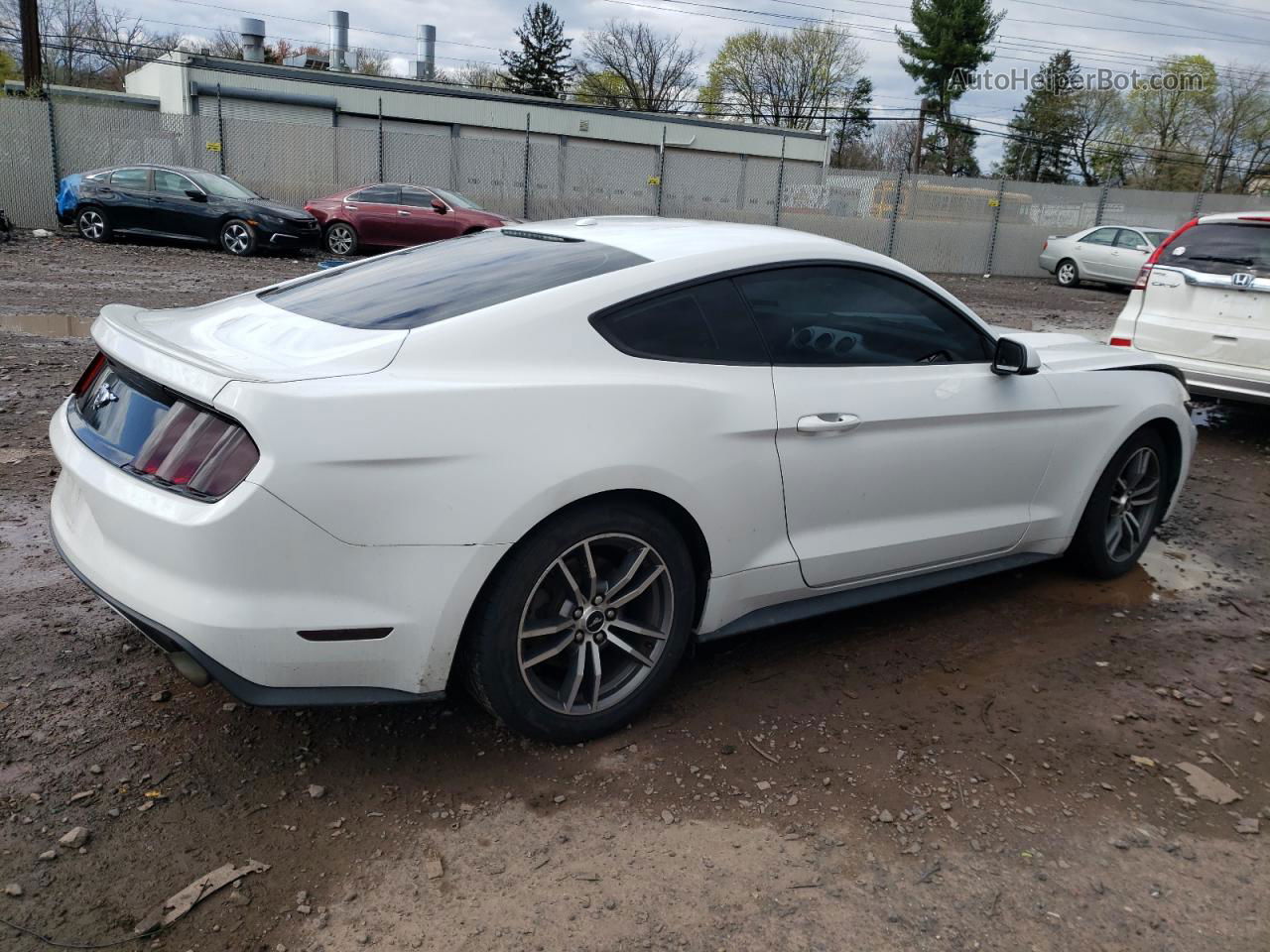 2015 Ford Mustang  White vin: 1FA6P8TH6F5303209