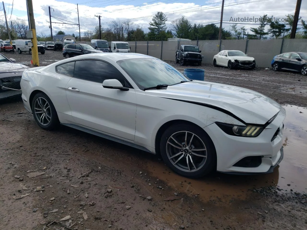 2015 Ford Mustang  Белый vin: 1FA6P8TH6F5303209