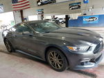 2015 Ford Mustang  Gray vin: 1FA6P8TH6F5348537