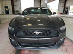 2015 Ford Mustang  Gray vin: 1FA6P8TH6F5348537