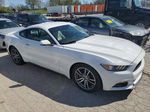 2015 Ford Mustang  Белый vin: 1FA6P8TH6F5377522