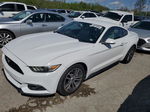 2015 Ford Mustang  White vin: 1FA6P8TH6F5377522