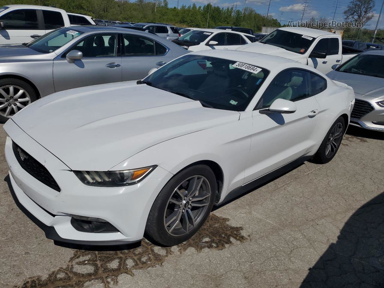 2015 Ford Mustang  Белый vin: 1FA6P8TH6F5377522