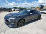 2020 Ford Mustang  Gray vin: 1FA6P8TH6L5100798