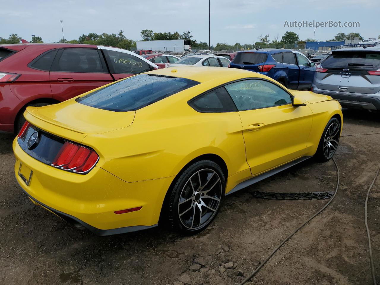 2015 Ford Mustang  Yellow vin: 1FA6P8TH7F5374905