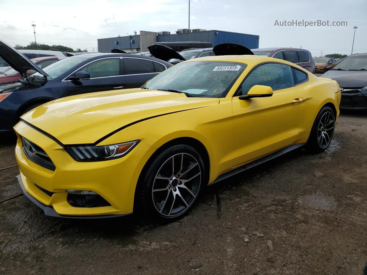 2015 Ford Mustang  Yellow vin: 1FA6P8TH7F5374905
