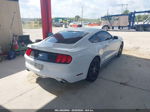 2016 Ford Mustang Ecoboost White vin: 1FA6P8TH7G5228828