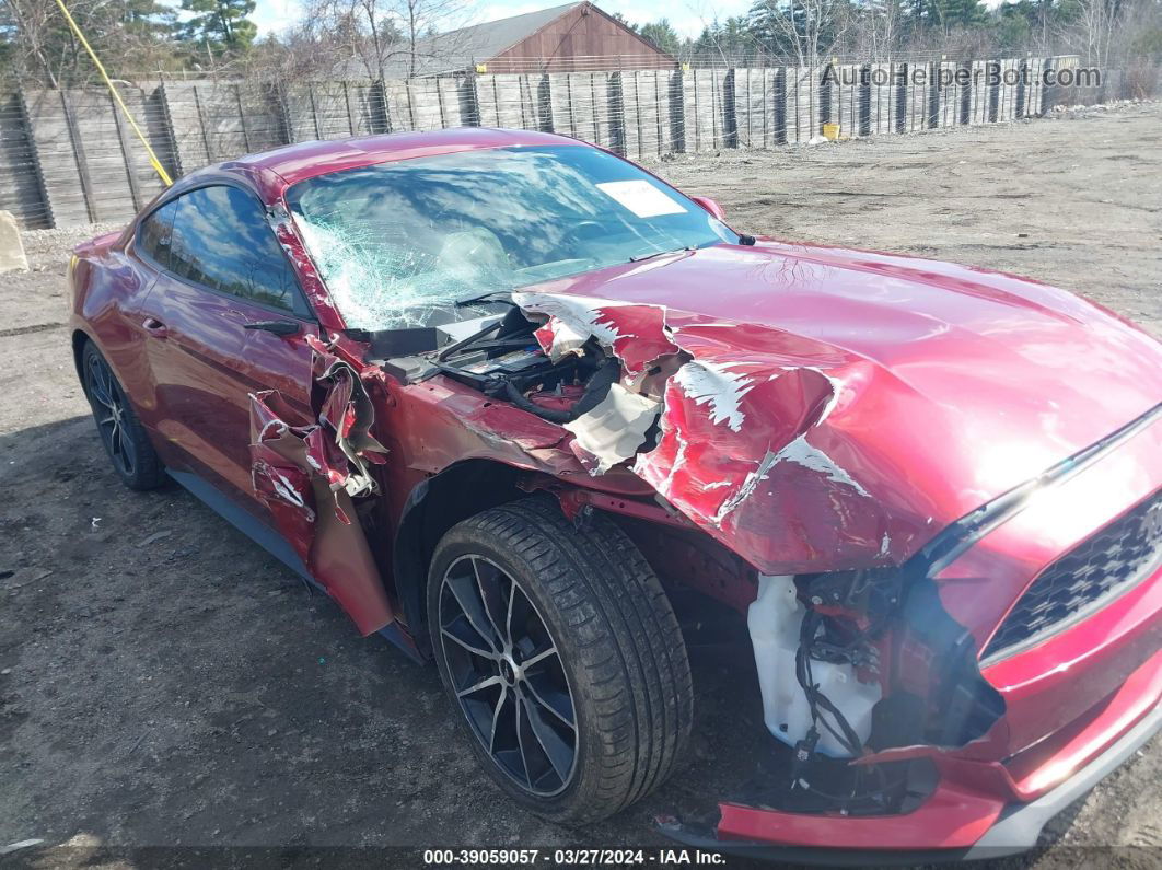 2016 Ford Mustang Ecoboost Red vin: 1FA6P8TH7G5265684