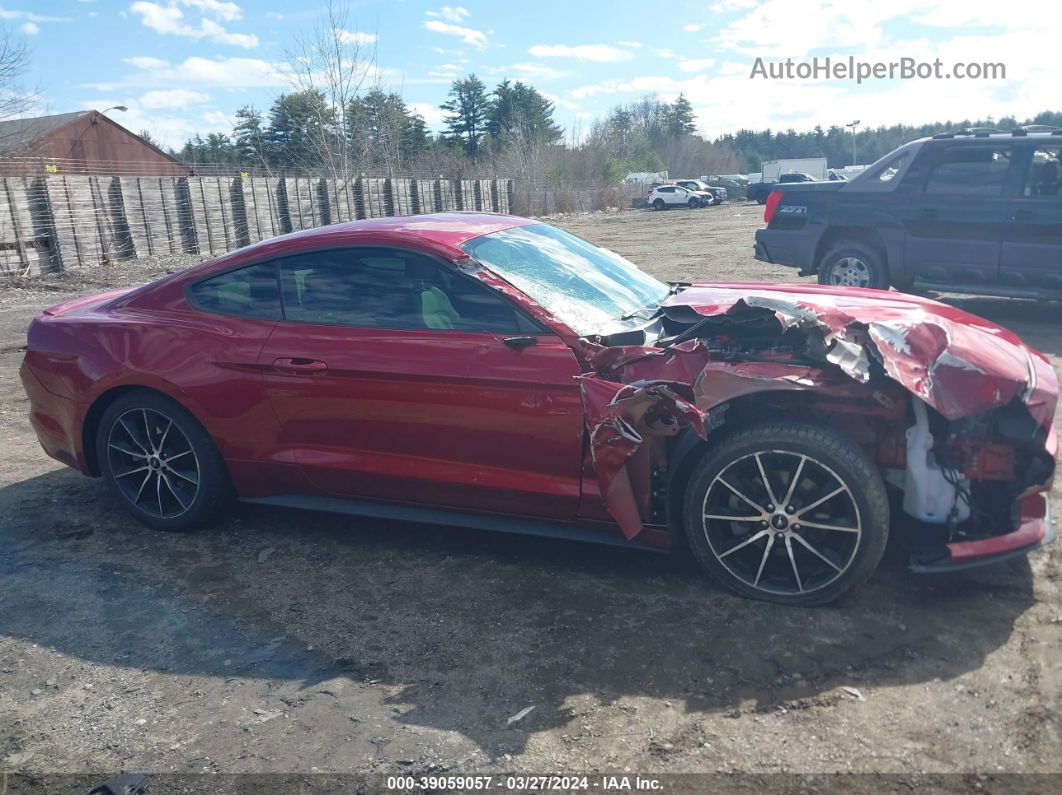 2016 Ford Mustang Ecoboost Red vin: 1FA6P8TH7G5265684