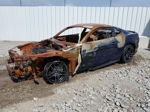 2020 Ford Mustang  Пожар vin: 1FA6P8TH7L5136189