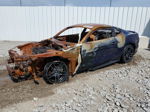 2020 Ford Mustang  Burn vin: 1FA6P8TH7L5136189