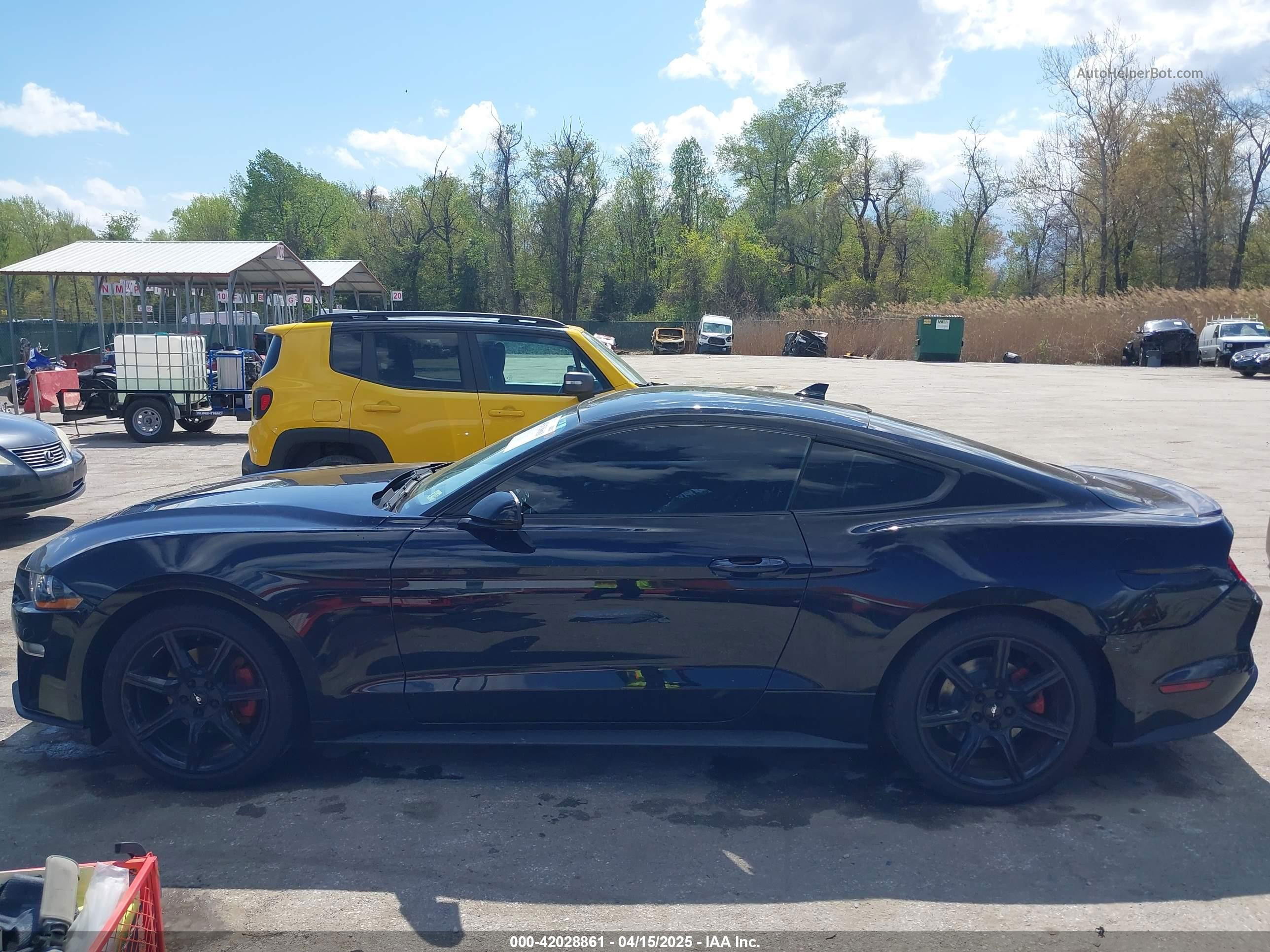2020 Ford Mustang Ecoboost Fastback Black vin: 1FA6P8TH7L5169144