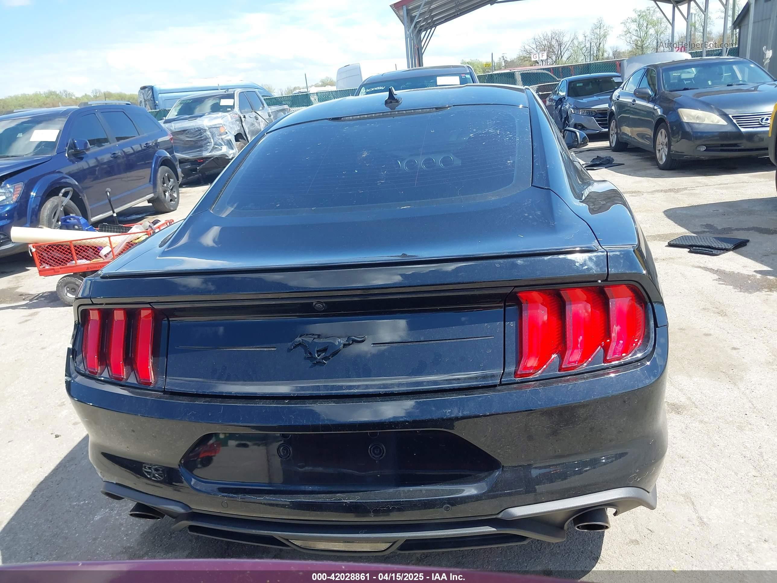 2020 Ford Mustang Ecoboost Fastback Black vin: 1FA6P8TH7L5169144