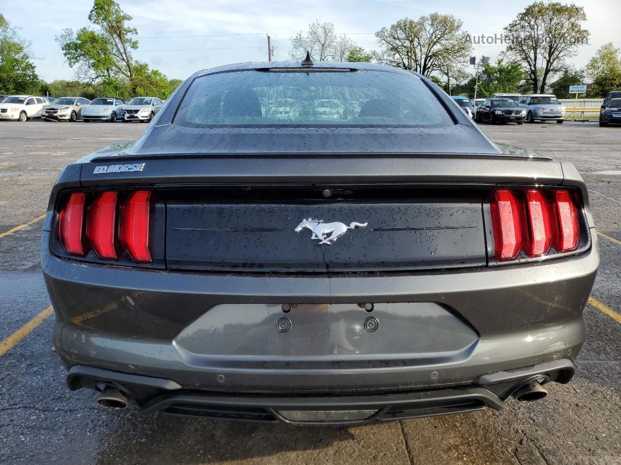 2020 Ford Mustang  Gray vin: 1FA6P8TH7L5173100