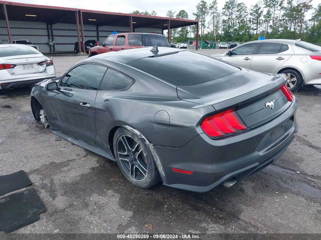 2020 Ford Mustang Ecoboost Fastback Gray vin: 1FA6P8TH7L5188910