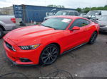 2016 Ford Mustang Ecoboost Red vin: 1FA6P8TH8G5204831