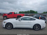 2016 Ford Mustang Ecoboost Белый vin: 1FA6P8TH8G5305030