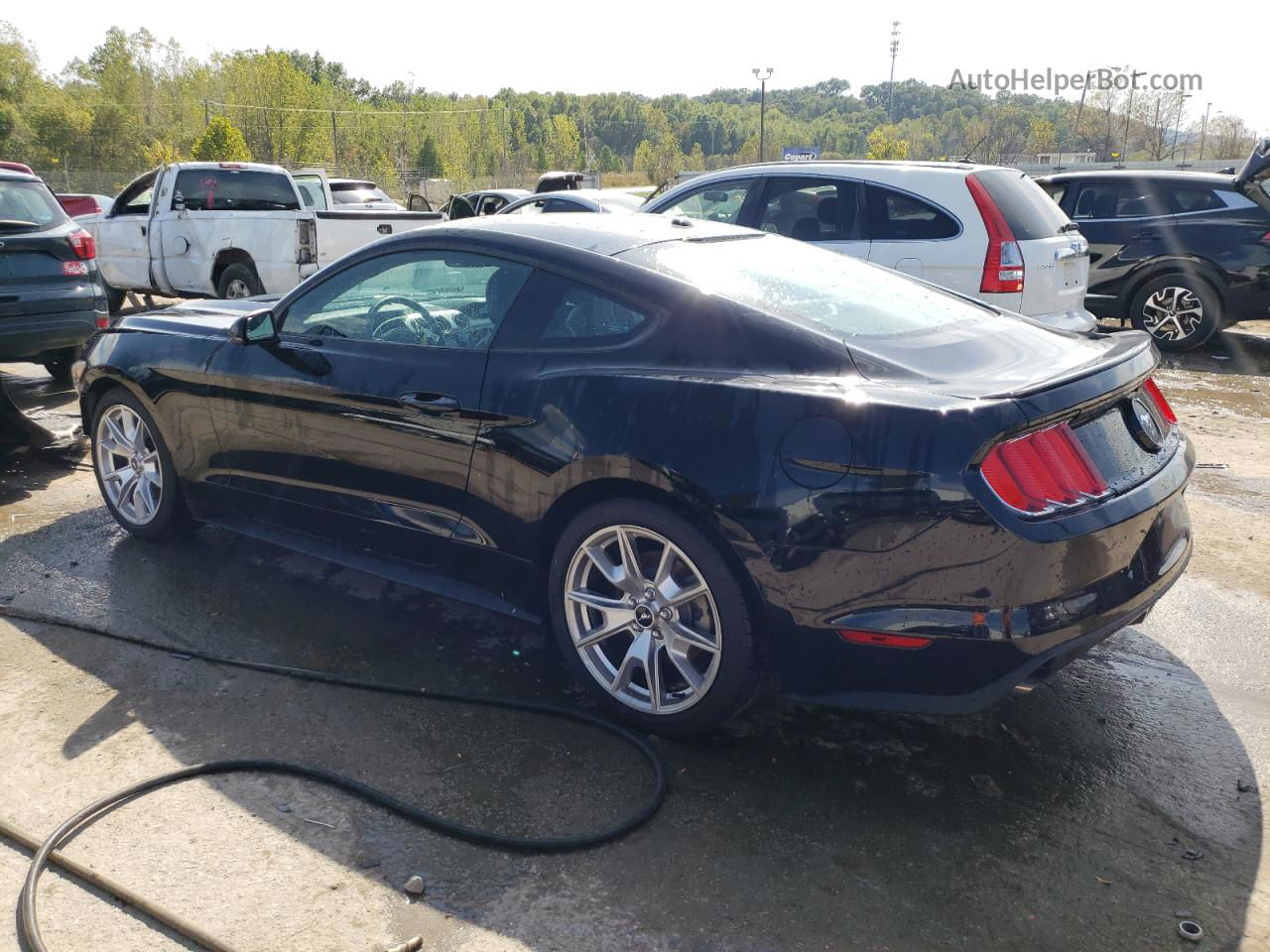 2015 Ford Mustang  Черный vin: 1FA6P8TH9F5380981