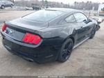 2015 Ford Mustang Ecoboost Black vin: 1FA6P8TH9F5411369