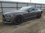 2016 Ford Mustang  Gray vin: 1FA6P8TH9G5209049