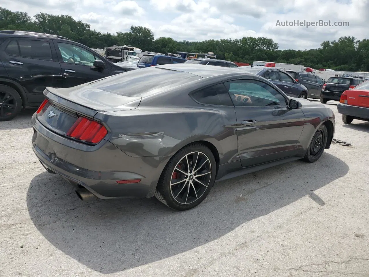 2016 Ford Mustang  Серый vin: 1FA6P8TH9G5221685