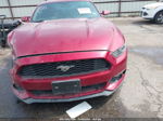 2016 Ford Mustang Ecoboost Red vin: 1FA6P8TH9G5225252