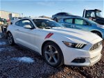 2016 Ford Mustang  White vin: 1FA6P8TH9G5265881