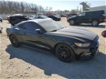 2016 Ford Mustang  Black vin: 1FA6P8TH9G5309331