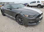 2016 Ford Mustang  Charcoal vin: 1FA6P8TH9G5336190