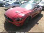 2020 Ford Mustang Ecoboost  Красный vin: 1FA6P8TH9L5183756