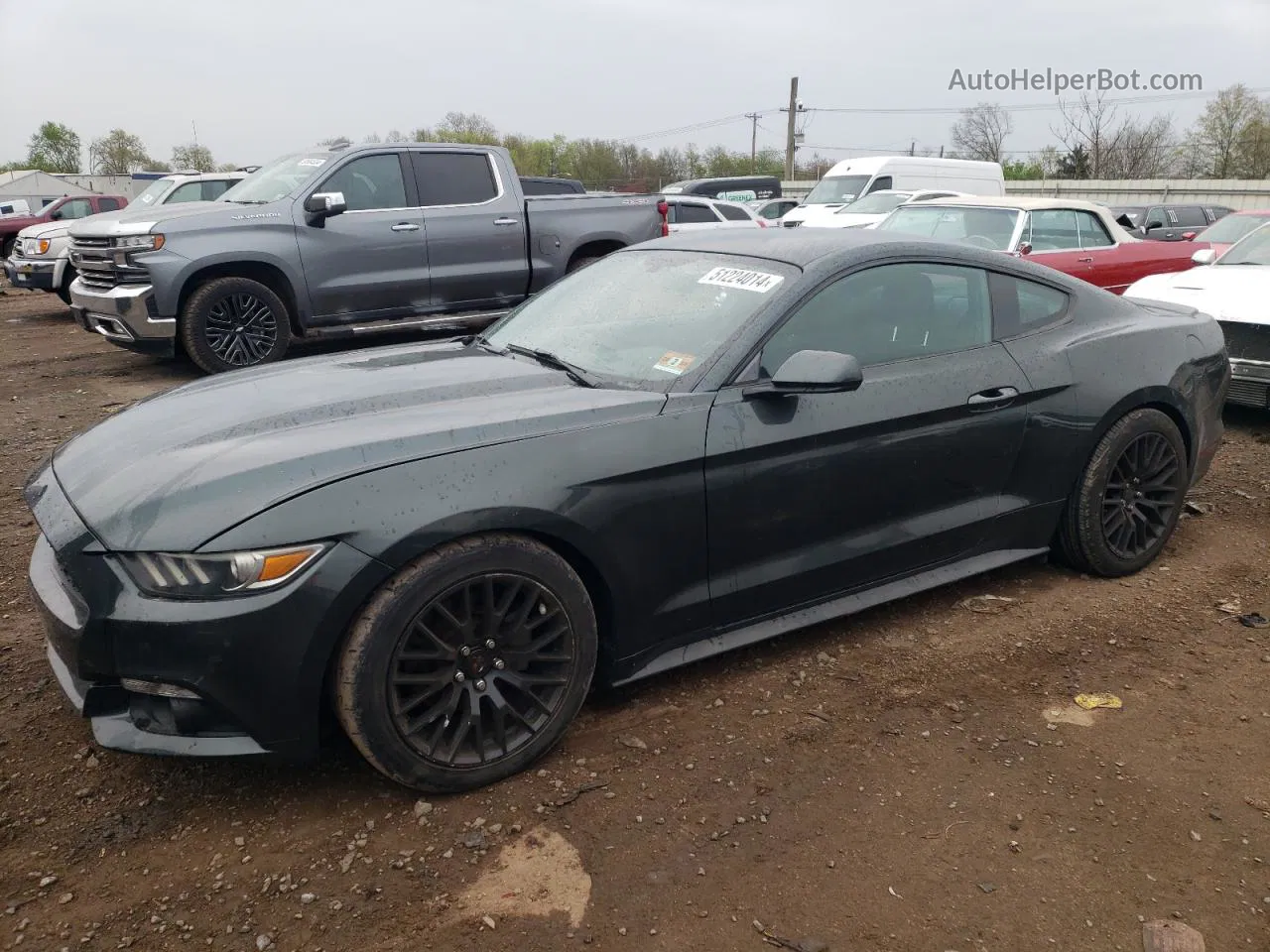 2015 Ford Mustang  Gray vin: 1FA6P8THXF5379550