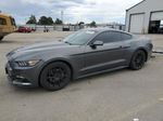 2016 Ford Mustang  Gray vin: 1FA6P8THXG5206760