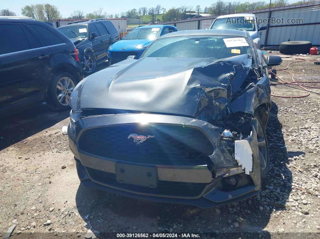 2016 Ford Mustang Ecoboost Gray vin: 1FA6P8THXG5278266