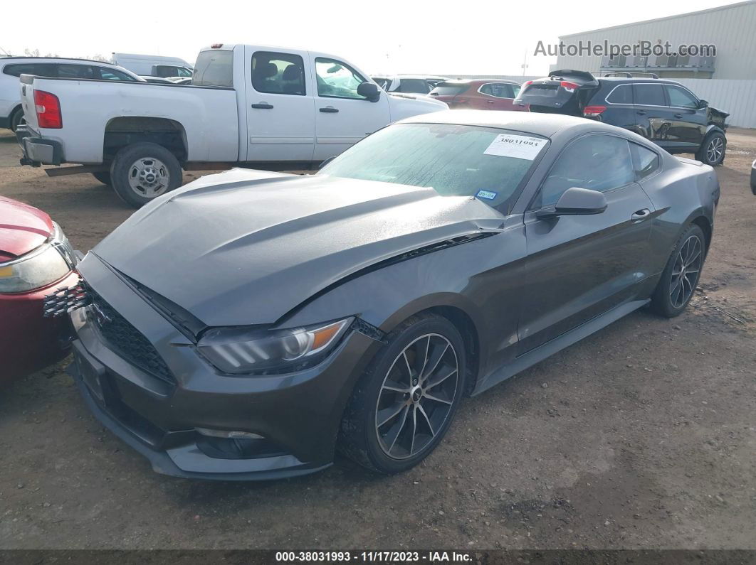 2016 Ford Mustang Ecoboost Gray vin: 1FA6P8THXG5310116