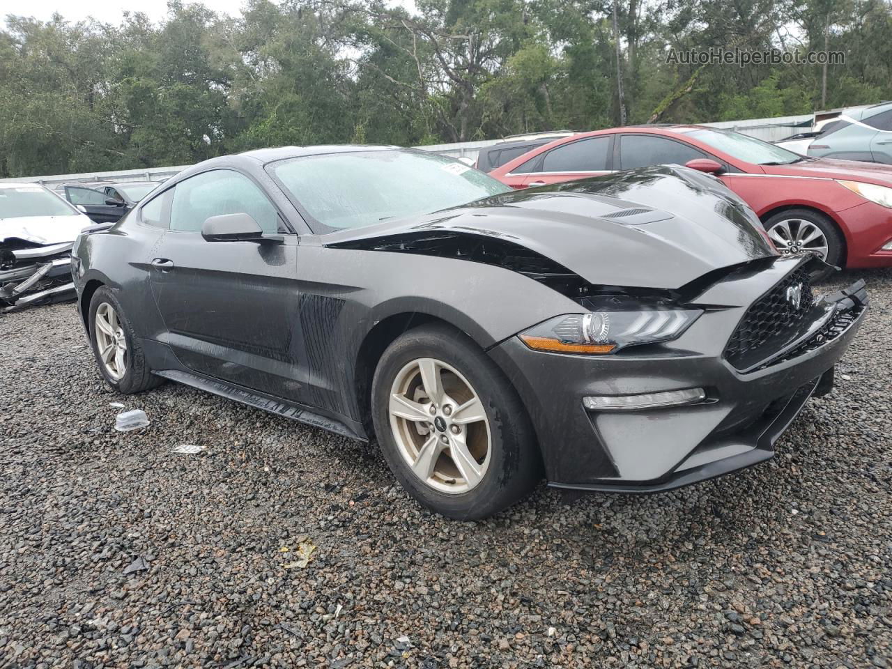 2020 Ford Mustang  Gray vin: 1FA6P8THXL5141547