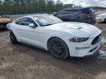 2020 Ford Mustang  White vin: 1FA6P8THXL5183720