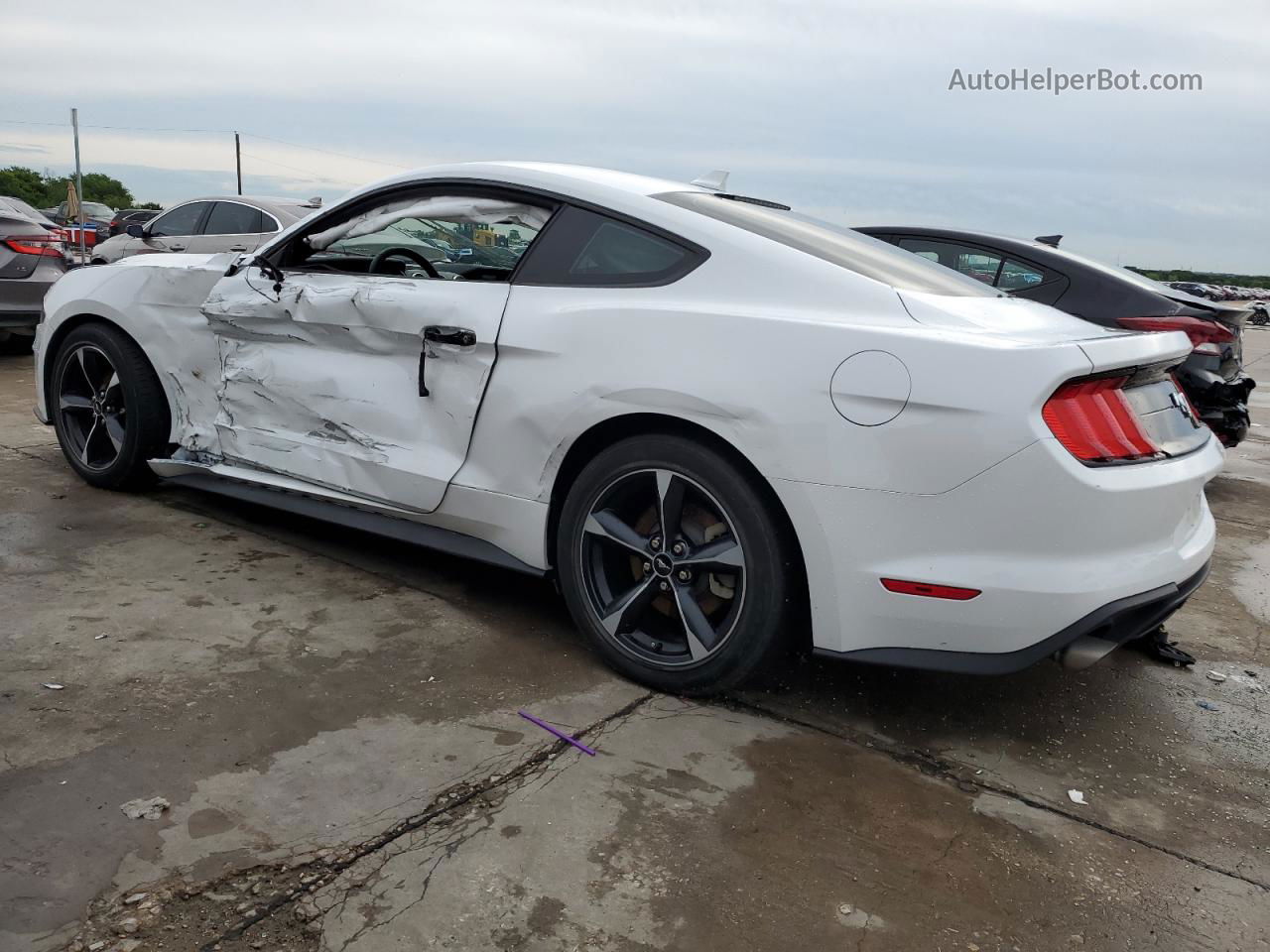 うっちゃん　ホワイト M Amazon.com: For 2014-2024 Ford Mustang OEM Touch-Up Paint