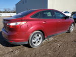 2013 Ford Focus Se Темно-бордовый vin: 1FADP3F20DL106630