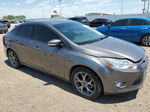 2013 Ford Focus Se Gray vin: 1FADP3F20DL211748