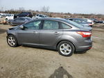 2013 Ford Focus Se Gray vin: 1FADP3F20DL241476