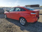 2013 Ford Focus Se Red vin: 1FADP3F20DL276941