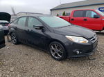 2014 Ford Focus Se Черный vin: 1FADP3F20EL167462