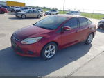 2014 Ford Focus Se Burgundy vin: 1FADP3F20EL190854