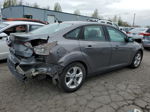 2014 Ford Focus Se Gray vin: 1FADP3F20EL260210